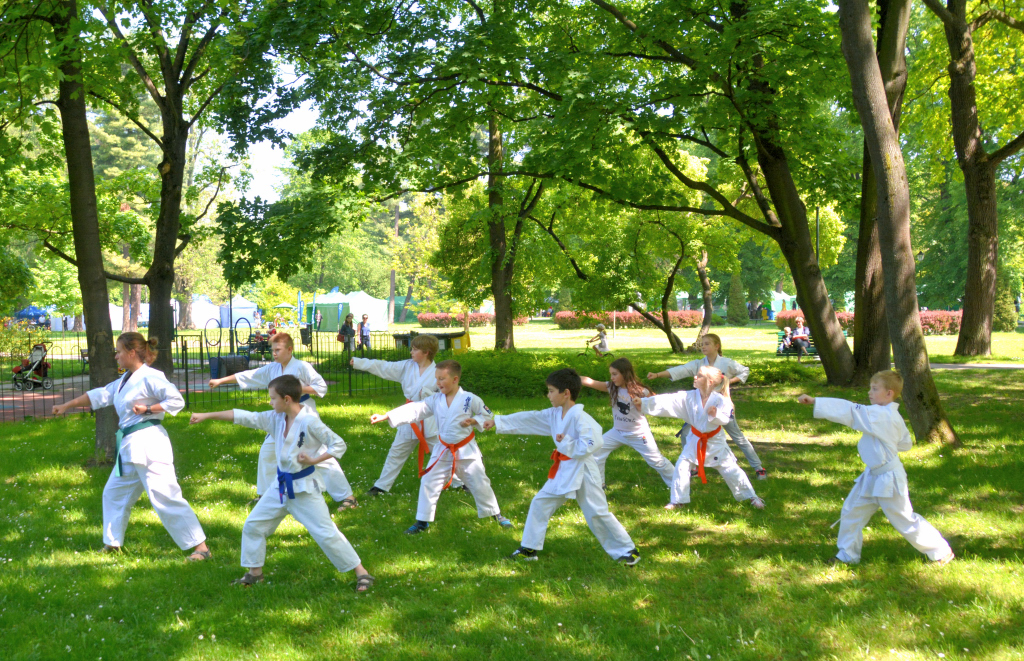 MDK DH Karate Piknik Rodzinny 2019 2