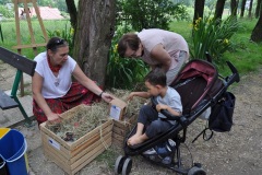 0029