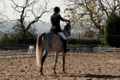 SONY DSC
