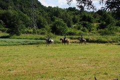 0033