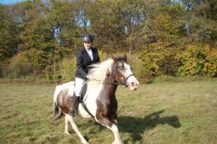 0026