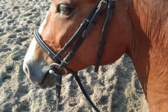 0028