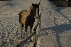 0012
