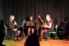MDK-DH_Musicplus_2015-01_7