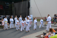 MDK-DH-Karate_Piknik_2018-1