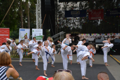 MDK-DH-Karate_Piknik_2018-4