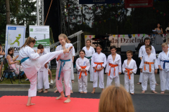 MDK-DH-Karate_Piknik_2018-7