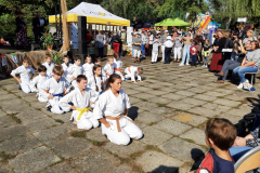 MDK-DH_-_Karate_-_2021_4