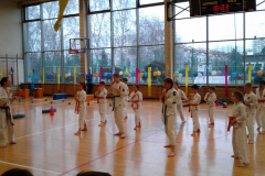 MDK-DH_Karate_2017_1