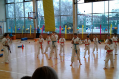 MDK-DH_Karate_2017_2