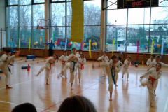 MDK-DH_Karate_2017_3