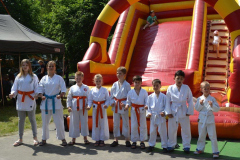 MDK-DH_karate_piknik_krowoderskii_2016_3