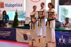 MDK-DH_karatel_11