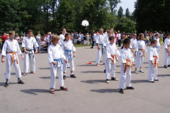 MDK-DH_karatel_16